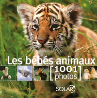 LES BEBES ANIMAUX EN 1001 PHOTOS