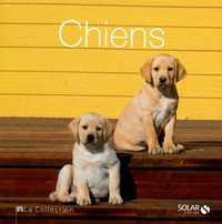 Chiens - La Collection - ne