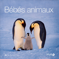 Bébés animaux - La Collection