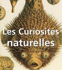 LES CURIOSITES NATURELLES