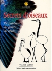 Secrets d'oiseaux