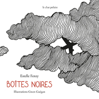 Boîtes noires