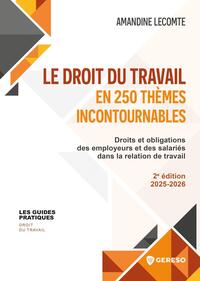 Le droit du travail en 250 thèmes incontournables