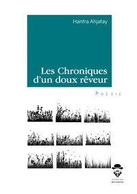 Les Chroniques d'un doux rêveur