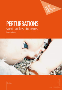 PERTURBATIONS