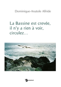 LA BASSINE EST CREVEE, IL N'Y A RIEN A VOIR, CIRCULEZ...