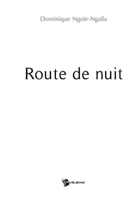 Route de nuit