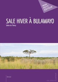 Sale hiver à Bulawayo