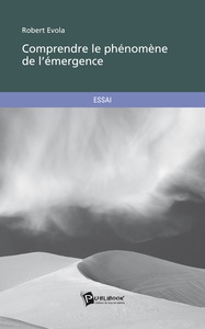 COMPRENDRE LE PHENOMENE DE L'EMERGENCE