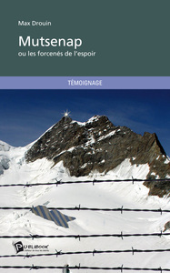 Mutsenap: ou les forcenés de l'espoir
