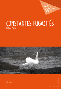 CONSTANTES FUGACITES