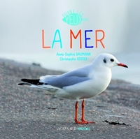 Ouvre les yeux sur la mer