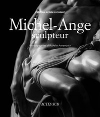 MICHEL-ANGE SCULPTEUR