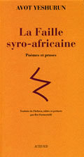 La Faille syro-africaine