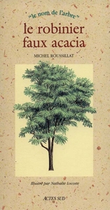 Le robinier faux acacia