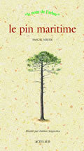 LE PIN MARITIME