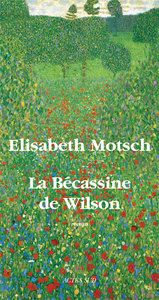 La bécassine de Wilson
