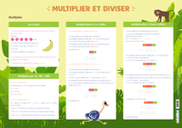 MULTIPLIER ET DIVISER