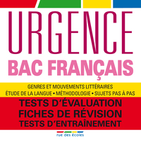 Bac français 2013