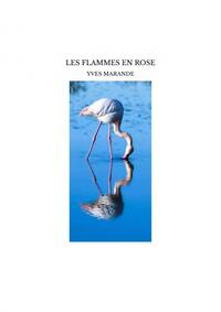 LES FLAMMES EN ROSE