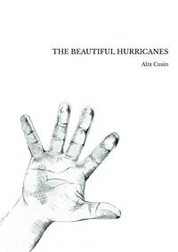 THE BEAUTIFUL HURRICANES