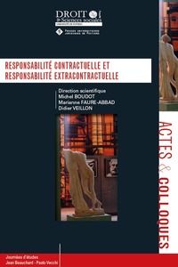 RESPONSABILITE CONTRACTUELLE ET RESPONSABILITE EXTRACONTRACTUELLE - TOME 106