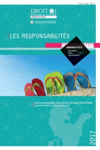 LES RESPONSABILITES - VOL96