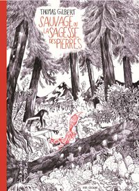 Sauvage ou la sagesse des pierres