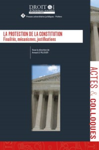 LA PROTECTION DE LA CONSTITUTION