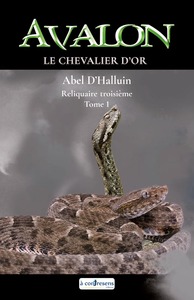 AVALON  Le chevalier d'or : Reliquaire troisième tome 1