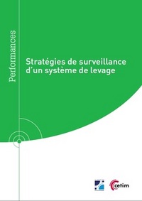 Stratégies de surveillance d'un système de levage