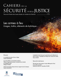 Les armes à feu 