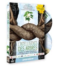 L'INTELLIGENCE DES ARBRES