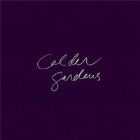 CALDER GARDENS: SKETCHES & NOTES BY JACQUES HERZOG /ANGLAIS
