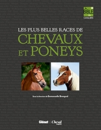 COFFRET : LA BIBLE DES CAVALIERS - 60 RACES DE CHEVAUX + 30 RACES DE PONEYS