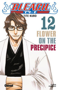 BLEACH - TOME 12 - FLOWER ON THE PRECIPICE