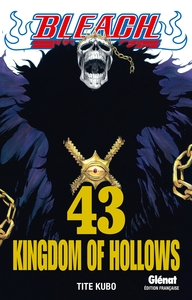 BLEACH - TOME 43 - KINGDOM OF HOLLOWS