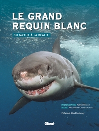 Le grand requin blanc