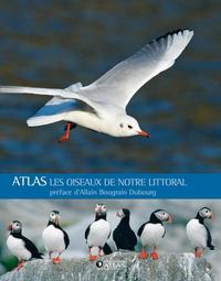 Les oiseaux de notre littoral