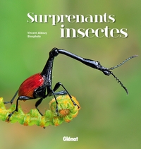 Surprenants  insectes