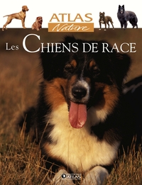 Les chiens de race