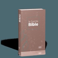 BIBLE NEG COMPACT : RIGIDE FLECHES