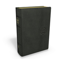 BIBLE SEGOND 21 JOURNAL DE BORD : COUVERTURE CUIR VERITABLE NOIR