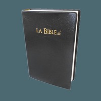 BIBLE SEGOND 21 - FLEXA NOIR