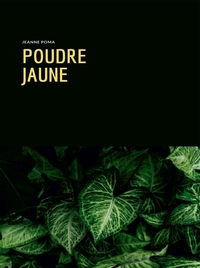 POUDRE JAUNE - RITES VAUDOUS SUR L'ILE DE LA REUNION