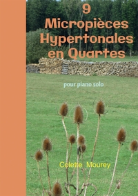 9 Micropièces Hypertonales en Quartes