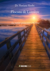 FLOCONS DE LUMIERE