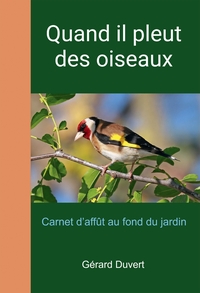 Quand il pleut des oiseaux