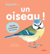 Un oiseau !
