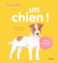 Un chien !